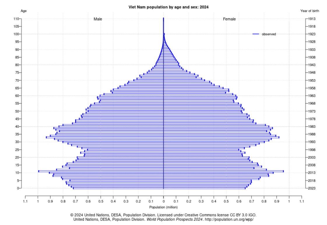 ベトナムの人口ピラミッド